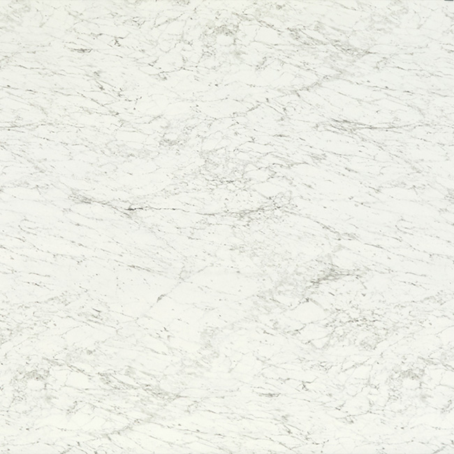 Spectra Calacatta Marble décor swatch.
